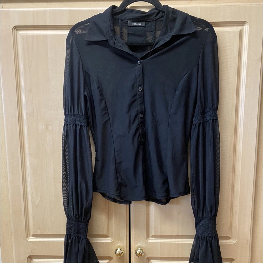 Express Whimsigoth victorian mesh button down shirt